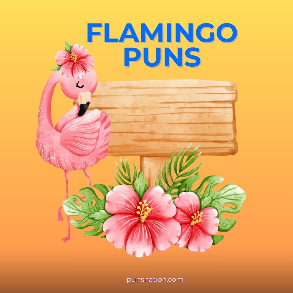 flamingo puns