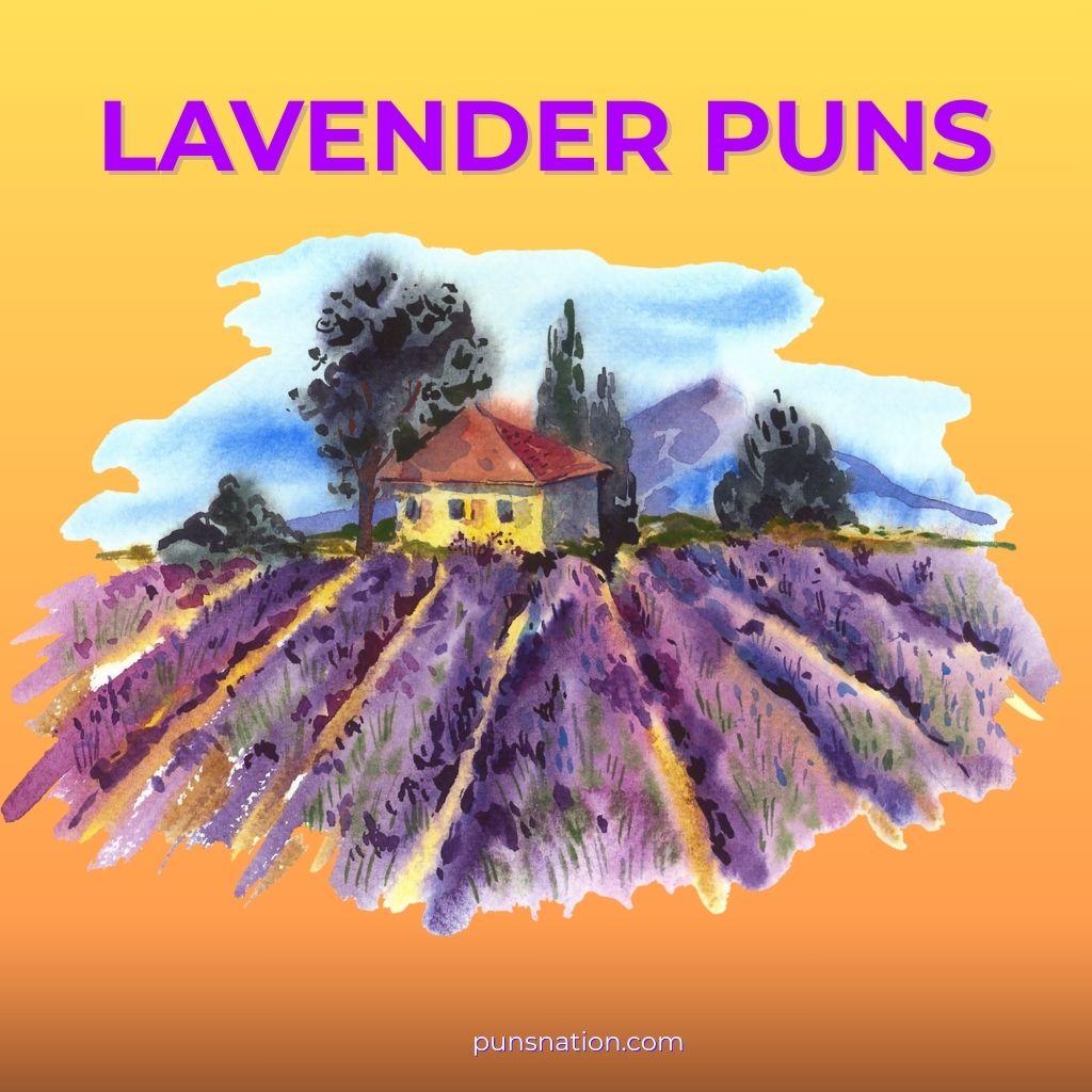 lavender puns