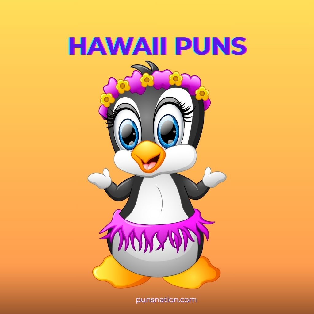 hawaii puns