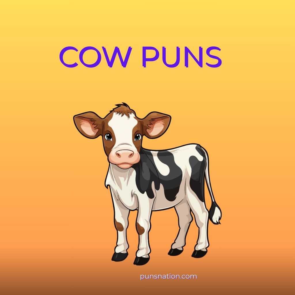 cow puns