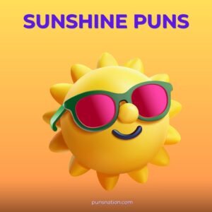 sunshine puns