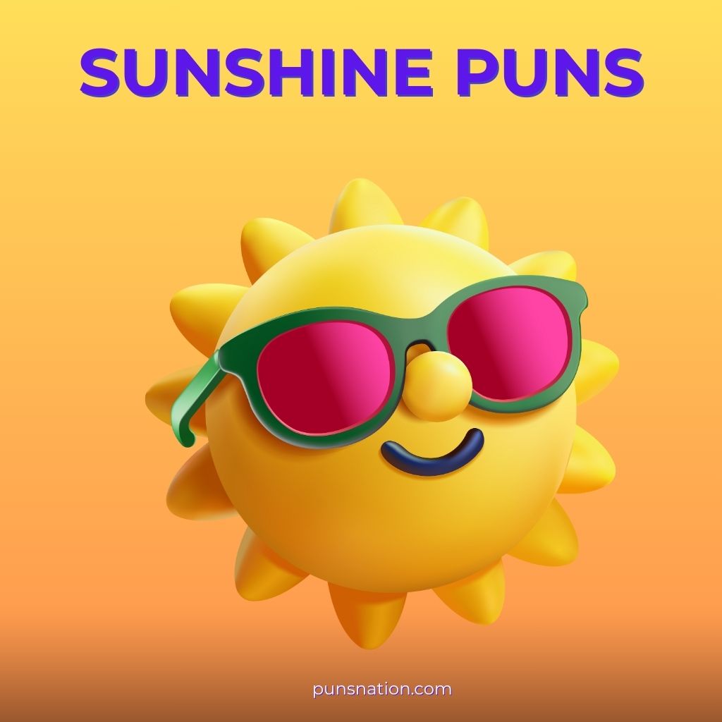 sunshine puns