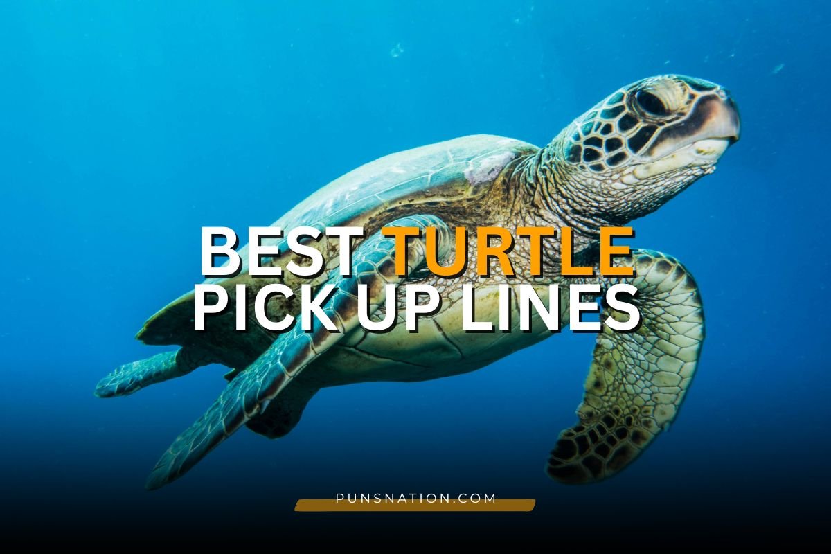 85+ Best Turtle Pick Up Lines for a Slow and Sweet Love