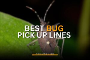 bug pick up lines