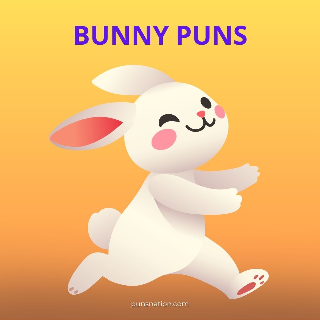bunny puns