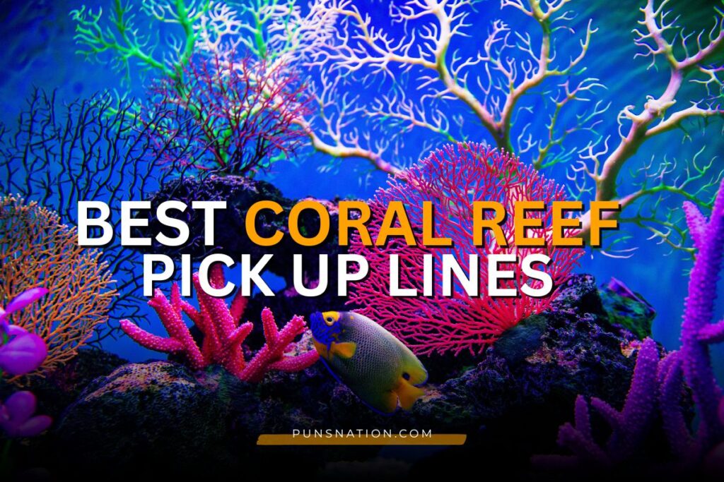 coral reef pick up lines