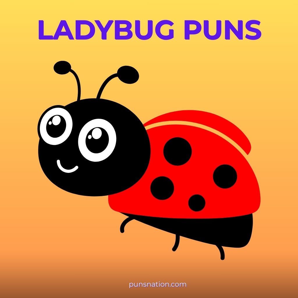 ladybug puns