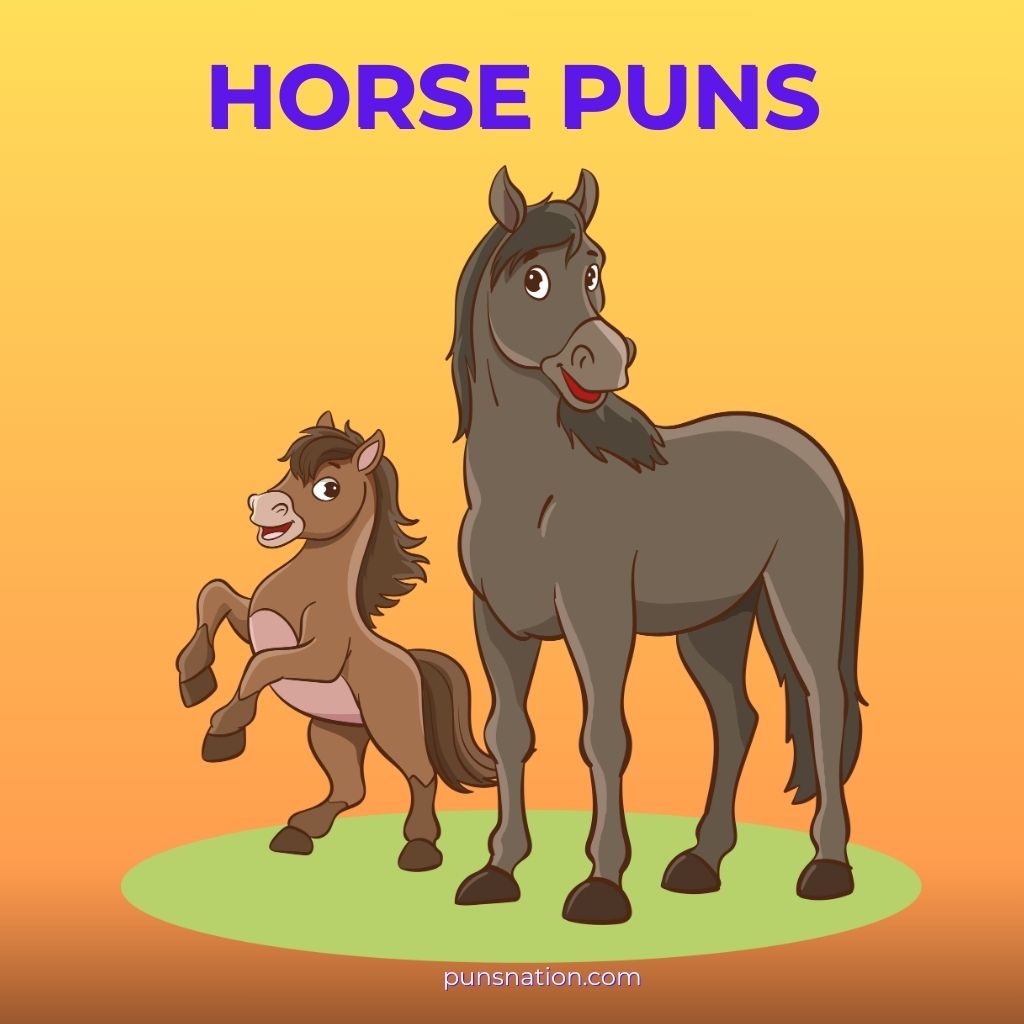 horse puns