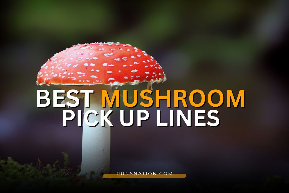 mushroom pick up lines