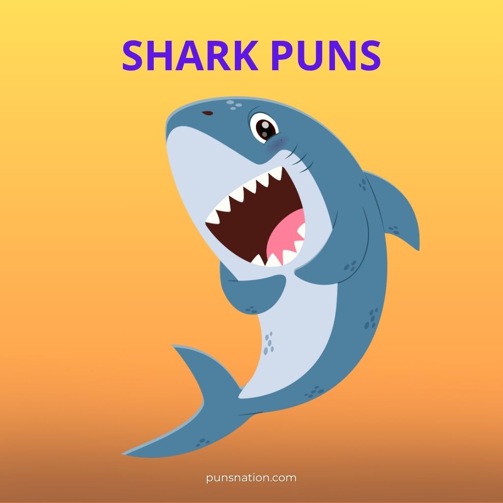shark puns