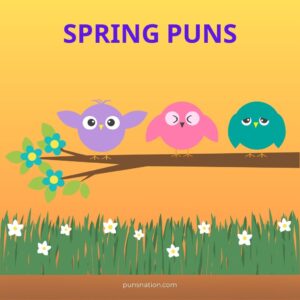 spring puns