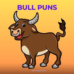 bull puns