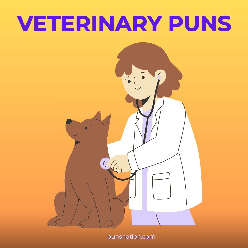 veterinary puns