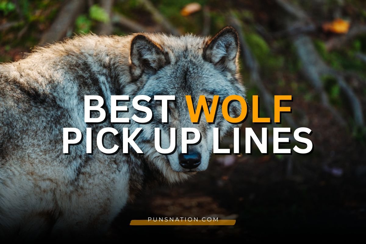 wolf pick up lines