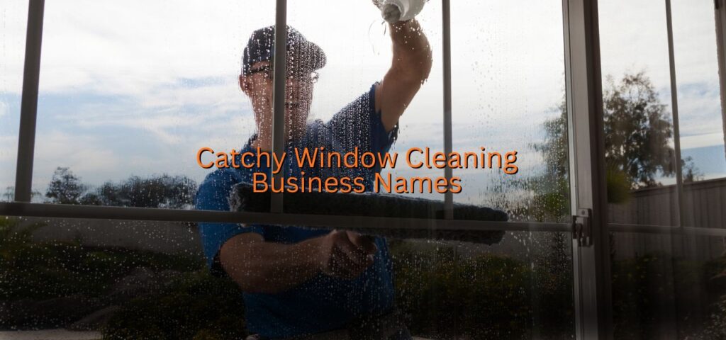 window cleaning business names