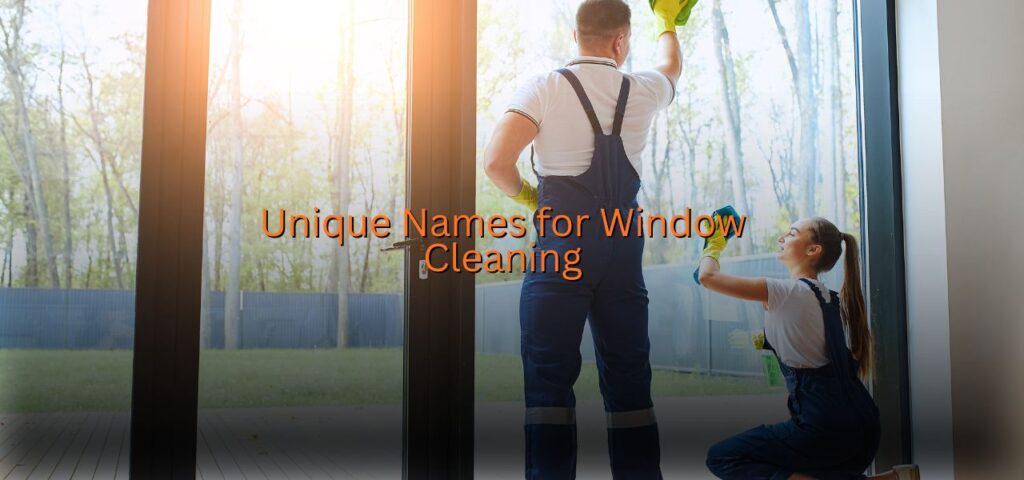 window cleaning business names