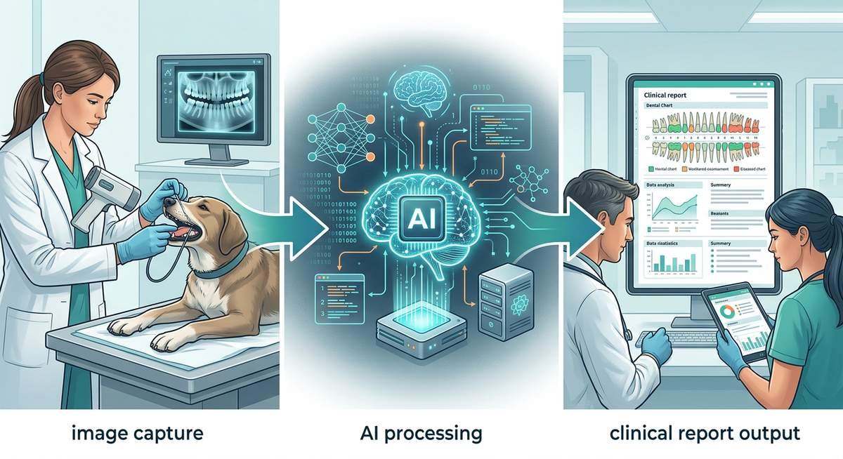 how nerovet ai dental screening works