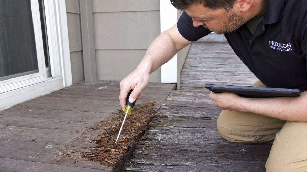 how-to-identify-signs-of-dry-rot-in-wood-2