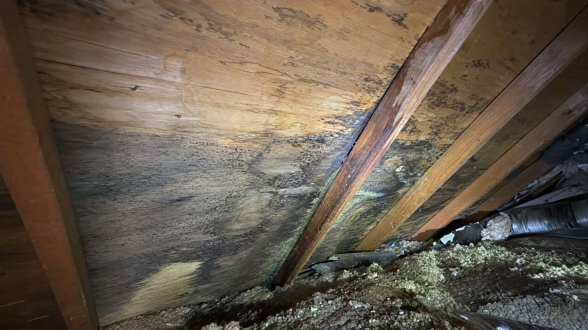 identifying-signs-of-a-leaky-roof-key-indicators-a-2